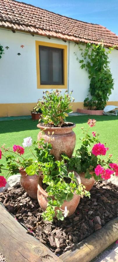 Vila Natura Barreiro  Ngoại thất bức ảnh