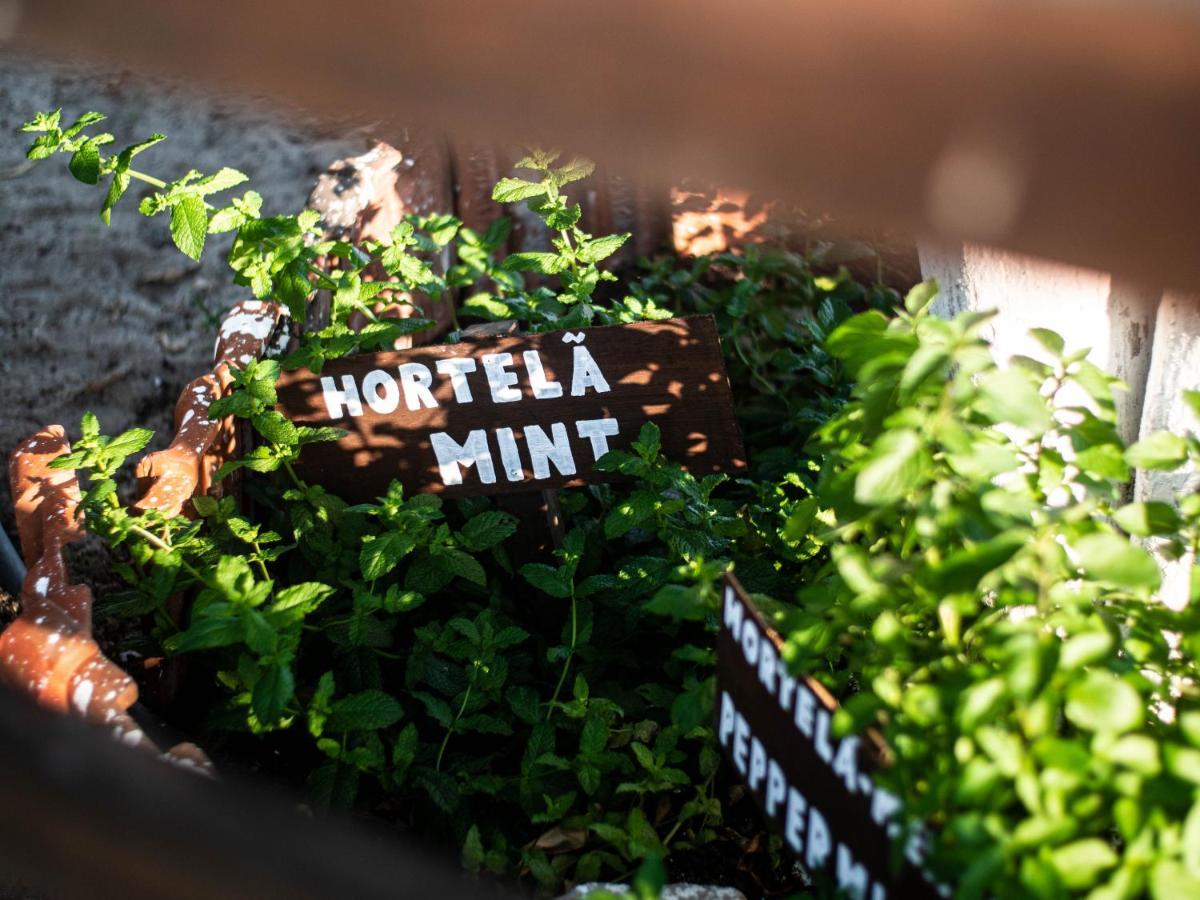 Vila Natura Barreiro  Ngoại thất bức ảnh