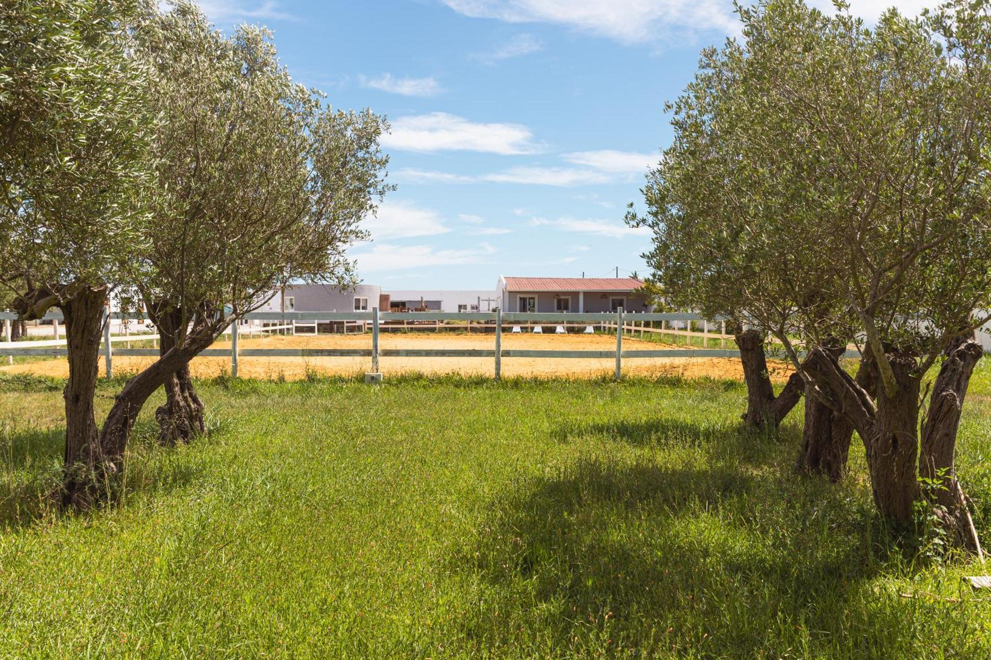 Vila Natura Barreiro  Ngoại thất bức ảnh
